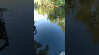 St. Marks River! - April 22, 2023