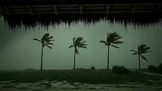 Rough Ocean Waves During Hurricane 🌪️ Beach Storm Sounds | ASMR Deep Sleep