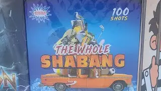 The Whole Shabang 💯shots Firework (🤫Brand)