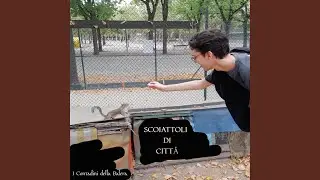 Cani dilaniati