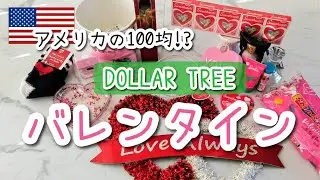 【ダラーツリー】バレンタイン購入品💘｜友達向けギフト&店内映像