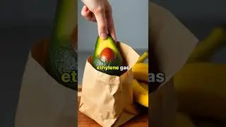 Best Tips to Keep Your Fruits & Veg Fresh Longer! 🍏🥬