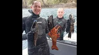 Cook Strait spear fishing heaps of Butterfish.