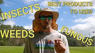 THE BEST PRODUCTS TO USE FOR THE BEST LAWN ON THE STREET!! THE PERFECT VIDEO FOR DIYERS!!!