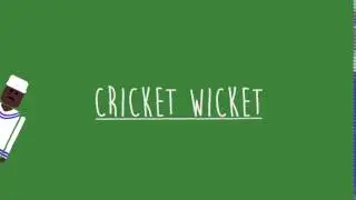Cricket Wicket gif