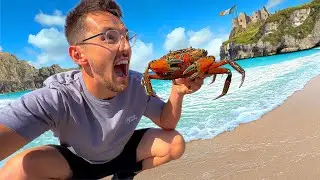 One Man Vs. The Irish Wilderness & ￼￼a Sad Farewell to Family! ❤️