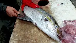 Master Fish Cutting ( Amberjack ) Skills Revealed! Insane Speed & Precision!