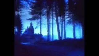 [FREE]  Lil peep x Emo rap Type Beat - 