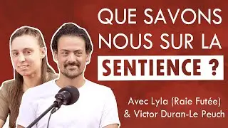 Que savons nous sur la Sentience ? - avec @poissonpodcast et @RaieFutee