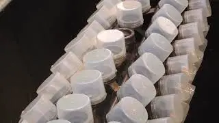 Vacuum Metallizing Process Step 2 & 3 - Base Painting & Uniforming Machine