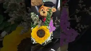 Graduation | sunflower big bear | Flower Bouquet | Huamama | Singapore Flower shop delivery