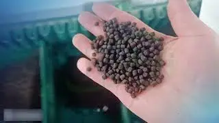 Complete Fish Feed Extruder Production Line in Action |  Fish Feed Extruder Machine Price Insights