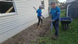 Over grown flower beds and planting grass seed! #landscaping #ripout #trending #asmr