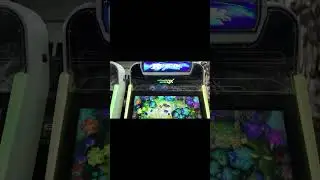 2 Players 32 inch Fish Hunter Gaming Skilled Metal Cabinet Gaming Arcade Machines For Sale