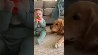 Kids Playing With a Friendly Dog 🐶👶 | So Cute!