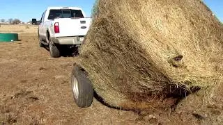 Buffalo Sock Company Challenge (as taken by the Longhorn Channel maker - me!)`