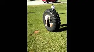 Christian roll down hill in tire