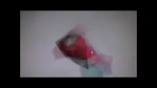 Polyhedral Rotations With Motion Blur