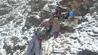 This Is A Himlyan  Best  Life ll Very  Winter And  Couldest  regional Trust  Area ll  peaceful Area 