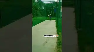 straight Drive Shot 🏏🏟️🤞🏻#cricket