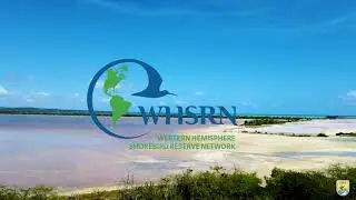 Cabo Rojo National Wildlife Refuge Celebrating 10 years of the first WHSRN