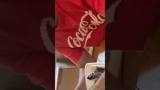 Guy in coke shirt does the worst thing possible
