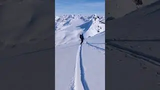 Alaska Phone Clips