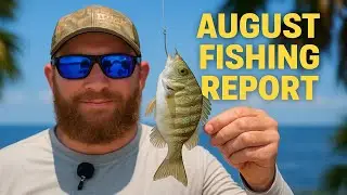 August Fishing Report with Captain Chris of On Point Outdoor Pursuits (2025)