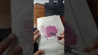 مراجعة الفاينل لمادة تصميم برامج الحاسب الألي فرقة تالته نظم معلومات المتطوره