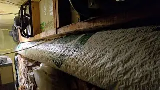 20240928 - Kiln drying 2 cords of hardwood #shorts