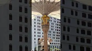 Friday Prayer Madina 😇 | #madina #masjidnabawi #azan #friday #travel #shanarainakbar