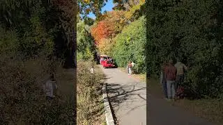 High Park Train