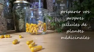 Pr&eacute;parer ses propres g&eacute;lules de plantes m&eacute;dicinales