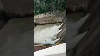 Hadagada dam/ // Nayak Vlogs #shorts #odiavlog #vlog #dam #travel #water #nature #newvideo
