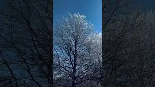 #snowyserenity #sjanakisongs