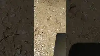 How to say 