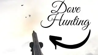 Dove Hunting 2021( Action Packed!!)