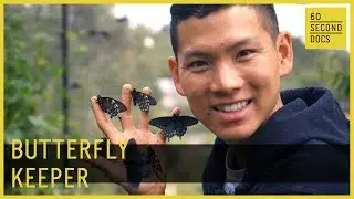 Butterfly Keeper | San Francisco Botanical Garden // 60 Second Docs