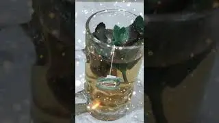 GREEN TEA WITH MINT...#greentea #tea #mint #shorts #shortsvideo#diet