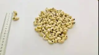 Olam Cashews - Spotted Kernels (PUK1) available on OlamNuts.com