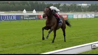 Special racehorse! Palace Pier goes back-to-back in the Prix Jacques Le Marois 🌟
