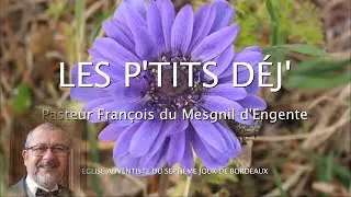 1759 - Les P'tits déj' spirituels - Il les maudit au nom de l'Éternel - 2 Rois 2.23-24