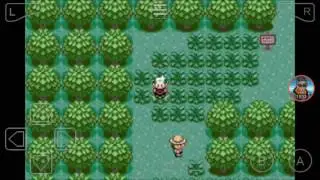 Pok&eacute;mon Emerald Really Really Really Randomized Nuzlocke Rustboro City Gym TheJDzero