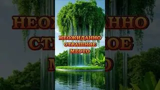 Бодрящим бывает не только кофе! #interesting #exclusive #surprise