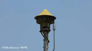 ACA Cyclone 125 Siren Test Park Falls, WI 06/04/25
