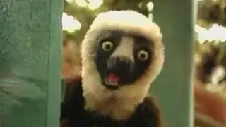 How to Make a Chrome Extension that replaces Imgs with Zoboomafoo