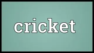 Cricket Meaning