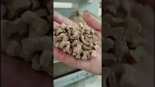 Pet feed line,test for our clients#fishfeedmachine #petfeed #animals #extruder #extrudermachine