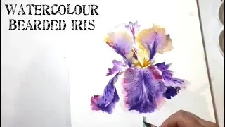 Fast and Easy Watercolour Bearded Iris