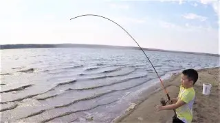 Little Kid Catches TONS of BIG Fish! (Bank fishing)